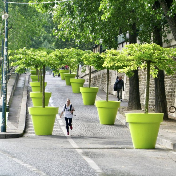 tree bollards